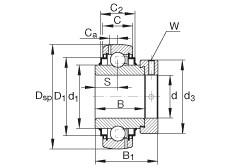 Bearing G1110-KRR-B-AS2/V INA