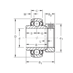 Bearing G1100KLLB Timken