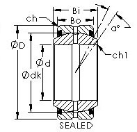 Bearing GEZ95ES-2RS AST