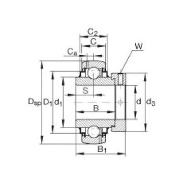 Bearing G1112-KRR-B-AS2/V INA