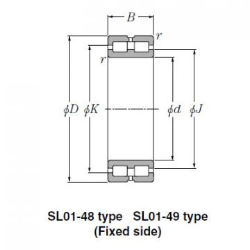 Bearing SL02-4864