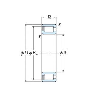 Bearing NCF3052V