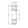 Bearing 619/530-MA NKE