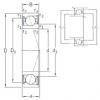 Bearing VEB 120 /S/NS 7CE3 SNFA