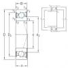 Bearing VEX 120 /S/NS 7CE3 SNFA