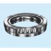 Bearing 294/600