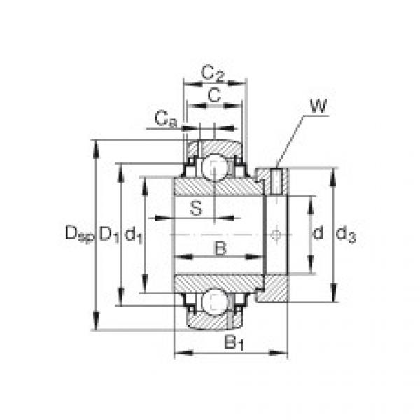 Bearing G1010-KRR-B-AS2/V INA #1 image