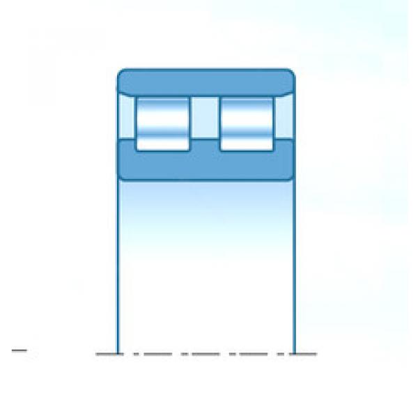 Bearing NN4938KD1C1NAP4 NTN #1 image