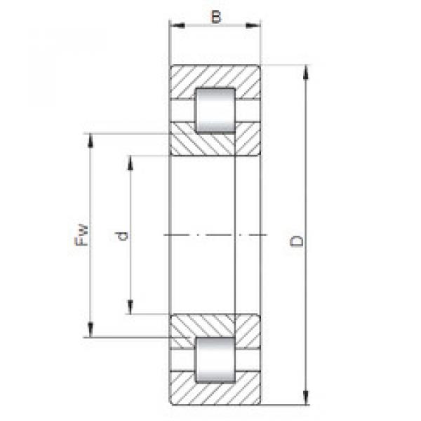 Bearing NUP2338 E CX #1 image