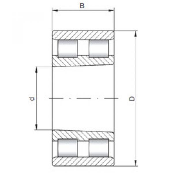 Bearing NN4952 K CX #1 image