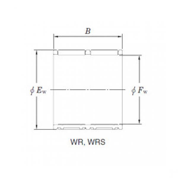 Bearing WR32/28 KOYO #1 image