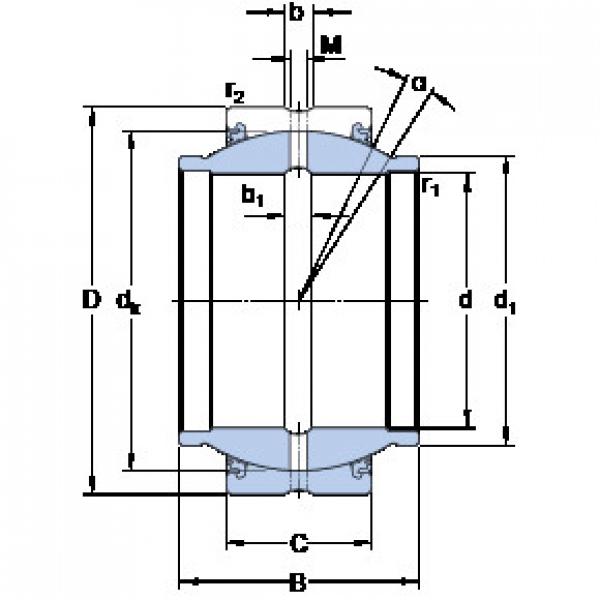 Bearing GEZM 106 ESX-2LS SKF #1 image