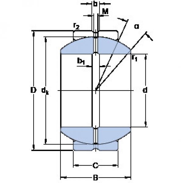 Bearing GEZH 304 ES SKF #1 image